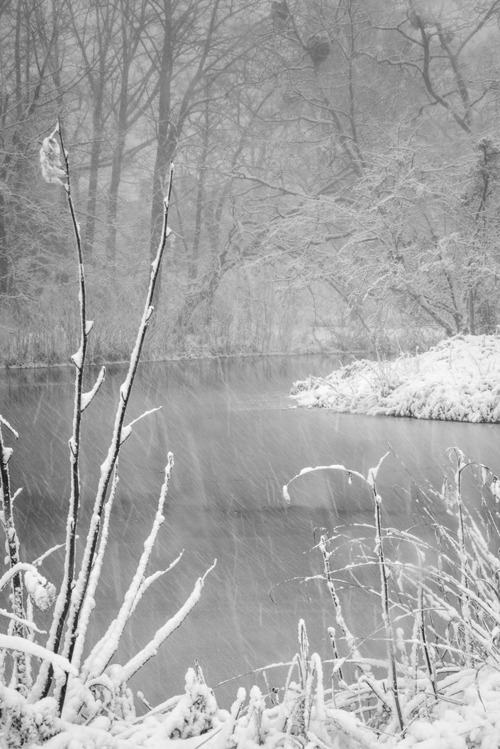 Schneesturm Teich in der Flora Köln