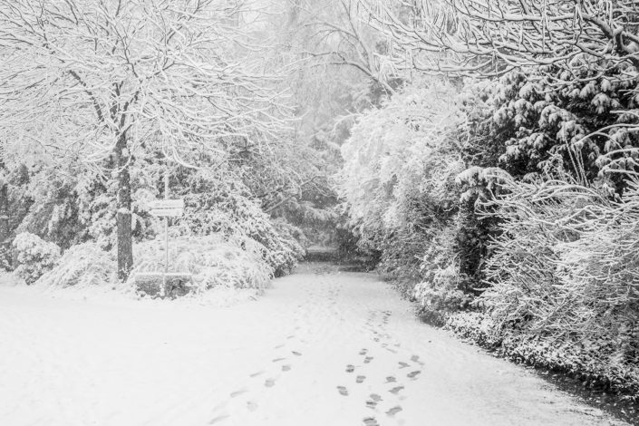 Winterfoto in der Kölner Flora