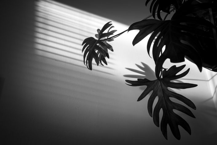 Interieur Fotografie Schatten an der Wand