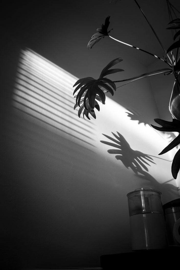 Interieur Fotografie Schatten an der Wand