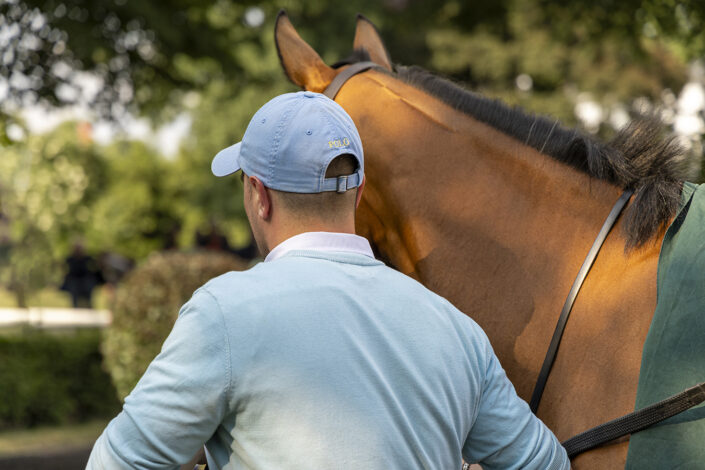 Pferd wird im Führring der Galopprennbahn Köln-Weidenpesch geführt